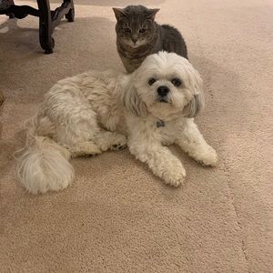 Meet your Posher, Bree